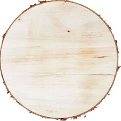 TP Sonstige Innendeko^Baumstammscheibe 20Cm