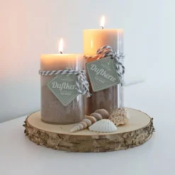 TP Sonstige Innendeko^Baumstammscheibe 20Cm