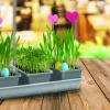 Grüner Jan Gartenwerkzeuge^Garten-Set Mit Werkzeug Und Giesbecher