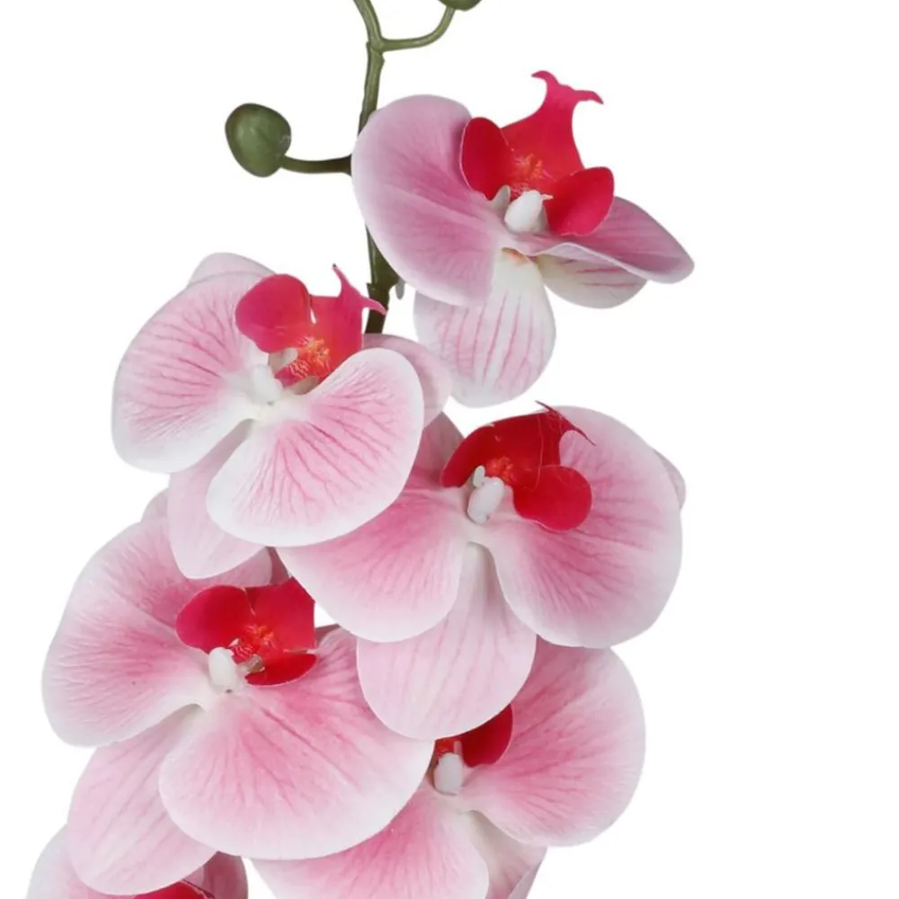 TP Kunstpflanzen Und Trockenblumen^Kunstliche Orchideenrispe Mit 8 Bluten 103Cm