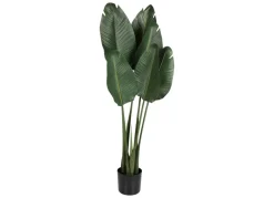 Flowers for You Kunstpflanzen Und Trockenblumen^Kunstliche Xxl Strelitzie Im Topf 125Cm