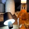 Stern Fabrik Lampen Und Leuchten^Led-Flaschenlampe Glorious 10,5Cm