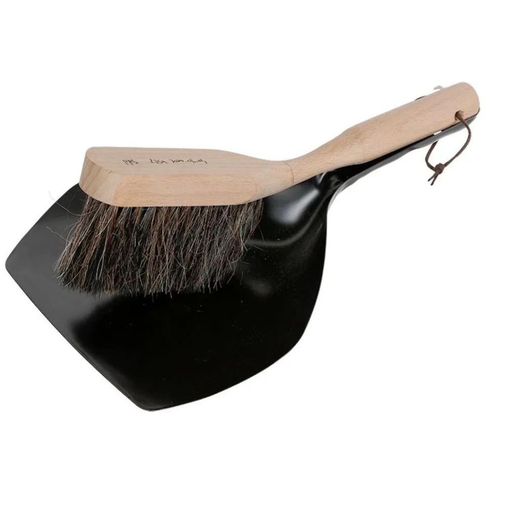 TP Haushaltshelfer^Metall-Kehrblech Mit Handfeger Aus Buchenholz