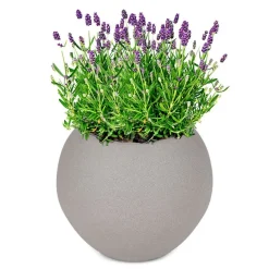 Pseudohersteller Pflanzkübel^Pflanztopf Kugel 34Cm Sand