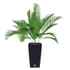 Prosperplast Pflanzkübel^Polyrattan-Pflanztopf Mit Einsatz 22X42X22Cm Anthrazit