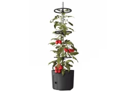 Plastkon Rankhilfen^Tomatenpflanztopf Mit Rankhilfe 29Cm Anthrazit