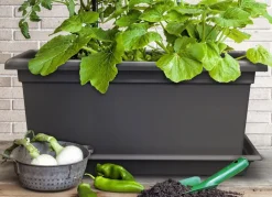 Plastkon Pflanzkübel^Xxl Pflanzkasten Magnus 80X39X37Cm Anthrazit