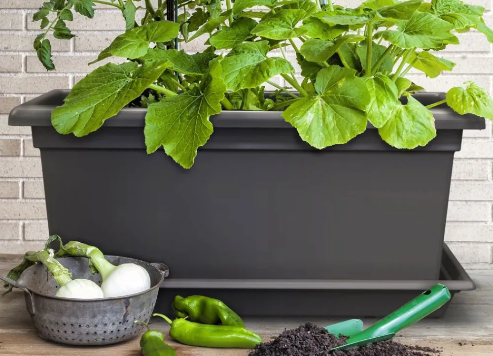 Plastkon Pflanzkübel^Xxl Pflanzkasten Magnus 80X39X37Cm Anthrazit